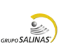 Grupo Salinas